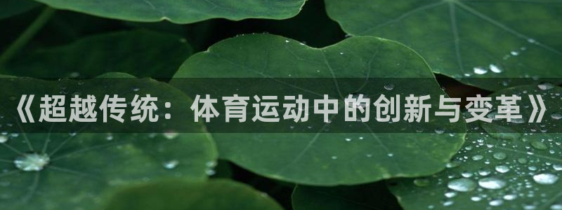 MK体育官方正版app科技：《超越传统：体育运动中的