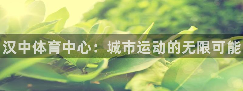 MK体育官网下载软件：汉中体育中心：城市运动的无限可