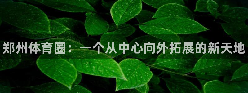 MK体育官网下载：郑州体育圈：一个从中心向外拓展的新