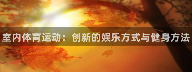 MK体育官网下载平台注册：室内体育运动：创新的娱乐方式与健身