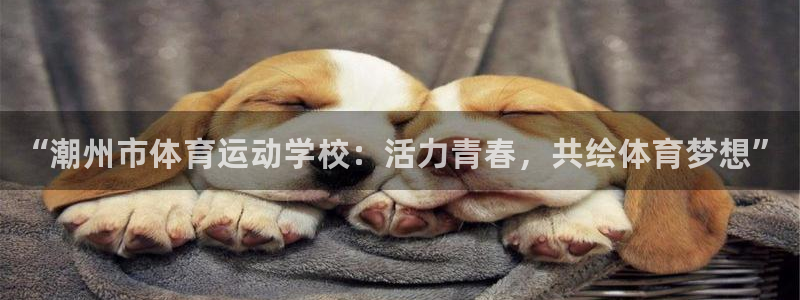 MK体育官网下载开户：“潮州市体育运动学校：活力青春，共绘体