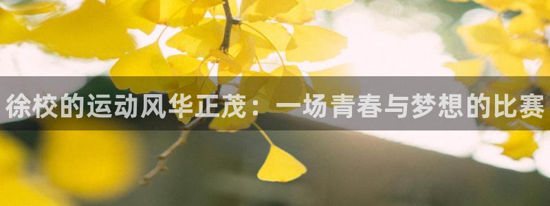 MK体育官方正版app集团官网首页网址：徐校的运动风