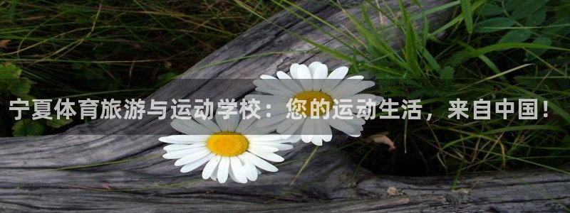 MK体育官方正版app集团官网网址：宁夏体育旅游与运动学校：
