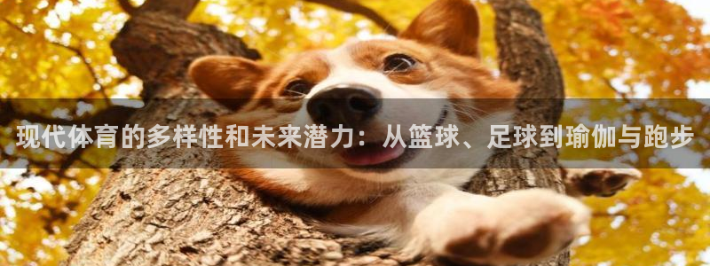 MK体育官方正版app集团E.ON：现代体育的多样性和未来潜