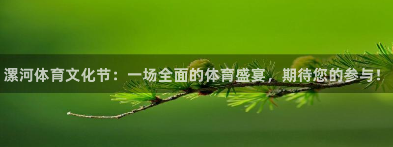 MK体育官网下载平台注册要钱吗是真的吗：漯河体育文化节：一场