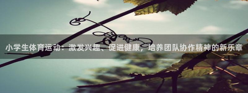 MK体育官网下载注册：小学生体育运动：激发兴趣、促进