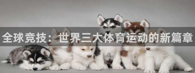 MK体育官网下载平台注册要钱吗：全球竞技：世界三大体