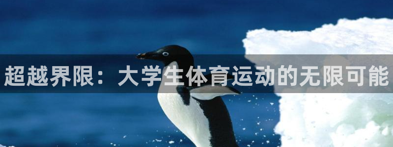 MK体育官方正版app娱乐代理怎么样：超越界限：大学
