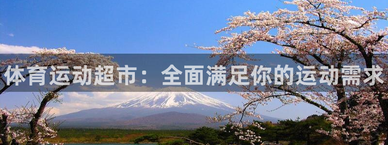 MK体育官方正版app集团简介：体育运动超市：全面满