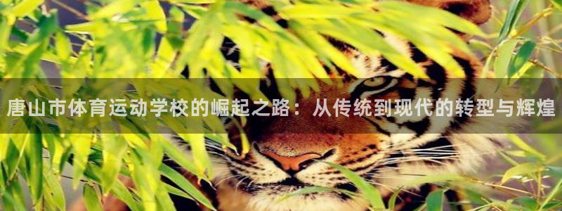 MK体育官网下载：唐山市体育运动学校的崛起之路：从传统到现代