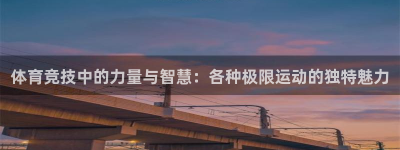 MK体育官方正版app娱乐40996：体育竞技中的力量与智慧