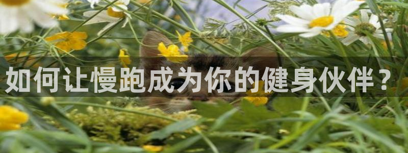 MK体育官网下载招商电话是多少：如何让慢跑成为你的健身伙伴？