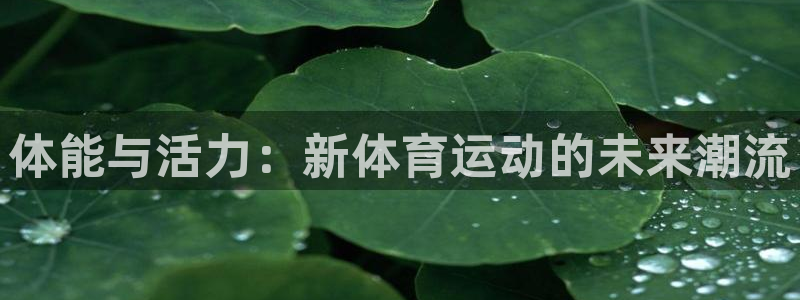MK体育官方正版app神州：体能与活力：新体育运动的