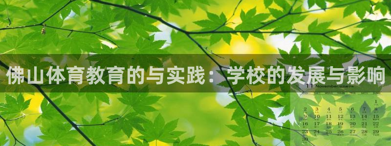 MK体育官网下载联系电话：佛山体育教育的与实践：学校的发展与