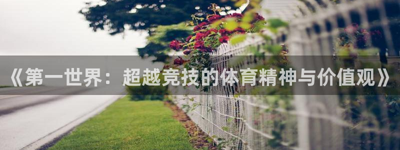 MK体育官网下载平台APP：《第一世界：超越竞技的体育精神与