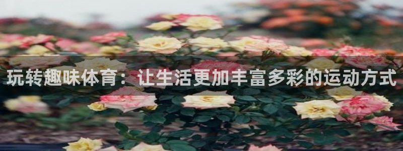 MK体育官网下载平台注册要钱吗安全吗：玩转趣味体育：让生活更