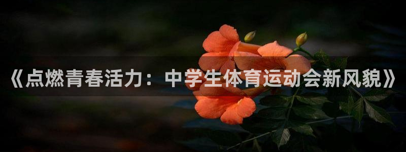 MK体育官方正版app科技：《点燃青春活力：中学生体育运动会
