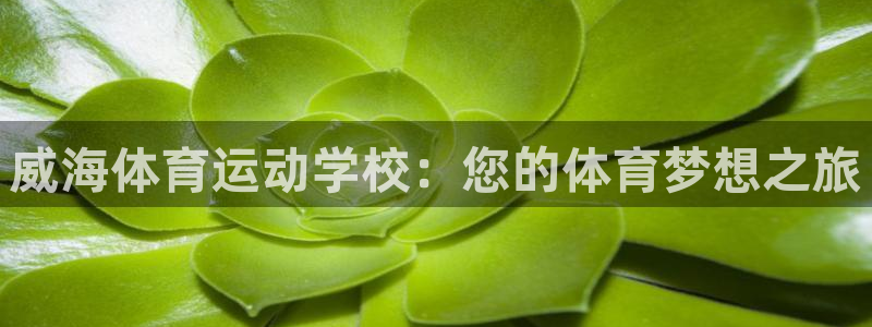 海南MK体育官网下载发展怎么样