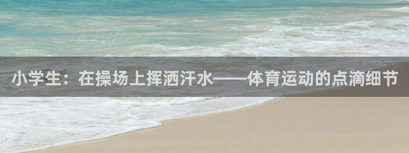 MK体育官方正版app娱乐首页网站大全