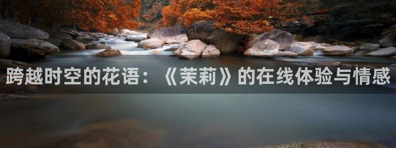 蓝鲸体育直播在线观看