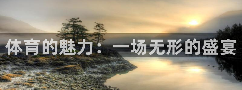 MK体育官方正版app娱乐网站：体育的魅力：一场无形的盛宴